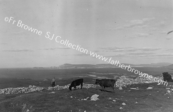 BENWEE HEAD & STAGS OF BROADHAVEN FROM WATCH TOWER ON ERRIS HEAD